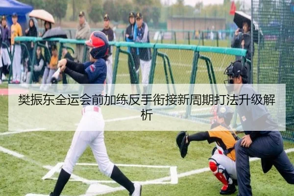 樊振东全运会前加练反手衔接新周期打法升级解析